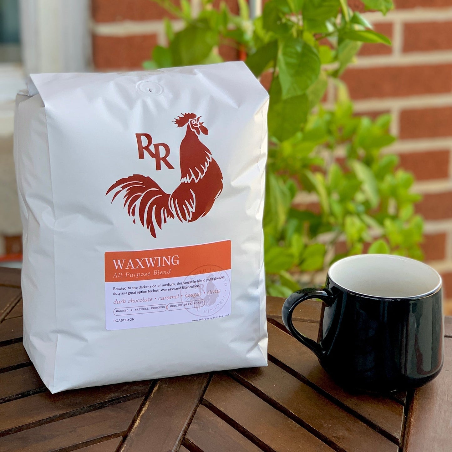Waxwing All-Purpose Blend - Roasted Coffee for AeroPress and Drip Brewing