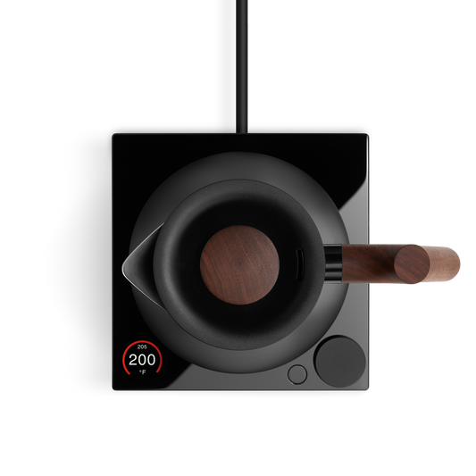 Corvo EKG Pro Electric Kettle | Studio Edition - Temperature-Control Kettle for Home Brewing