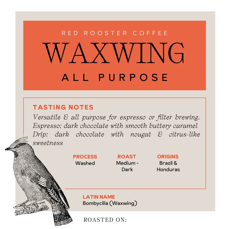 Waxwing All-Purpose Blend - Roasted Coffee for AeroPress and Drip Brewing