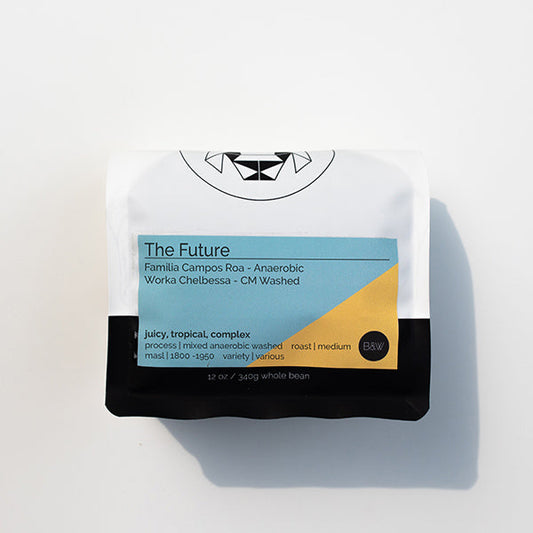 The Future 12 oz - Roasted Coffee for AeroPress and Drip Brewing