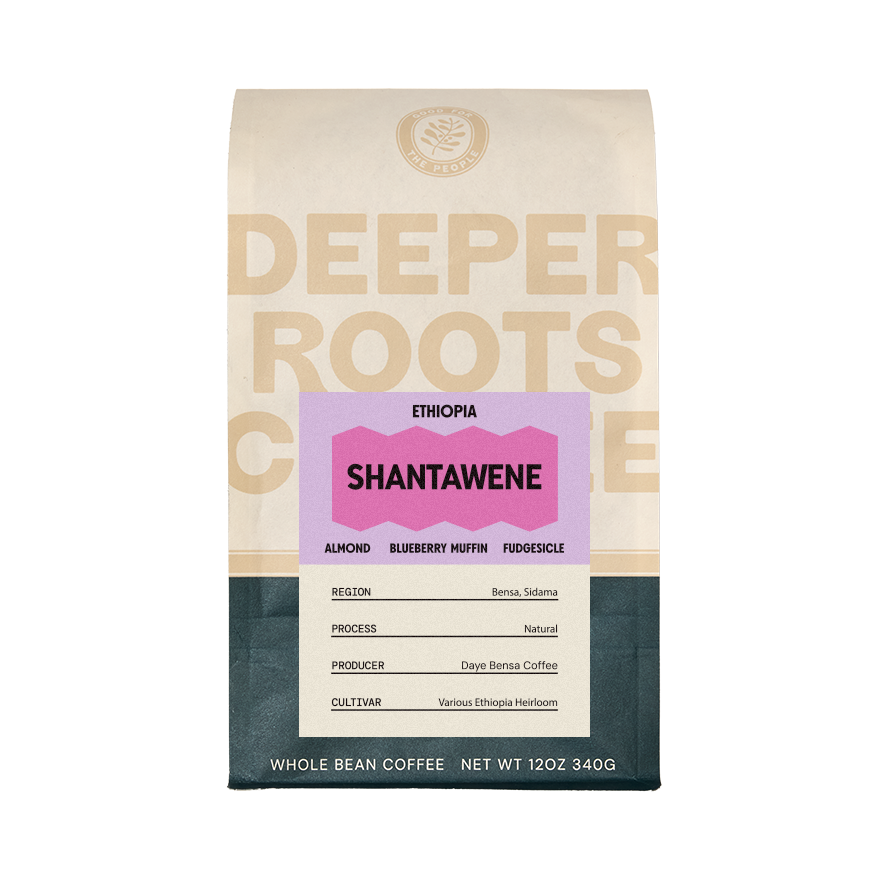 Ethiopia Shantawene 12 oz - Roasted Coffee for AeroPress and Drip Brewing