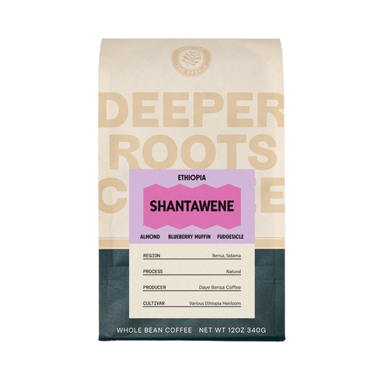 Ethiopia Shantawene 12 oz - Roasted Coffee for AeroPress and Drip Brewing