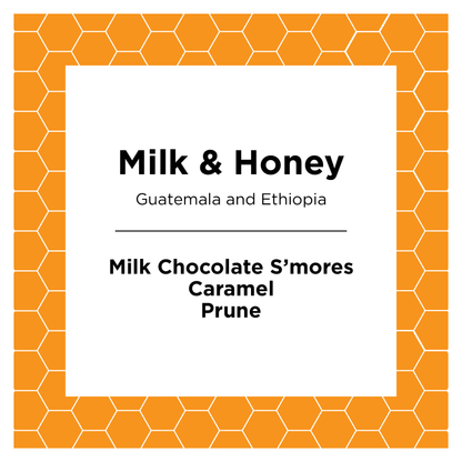 Milk & Honey - Roasted Coffee for AeroPress and Drip Brewing