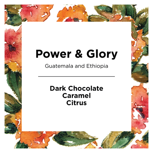 Power & Glory - Roasted Coffee for AeroPress and Drip Brewing