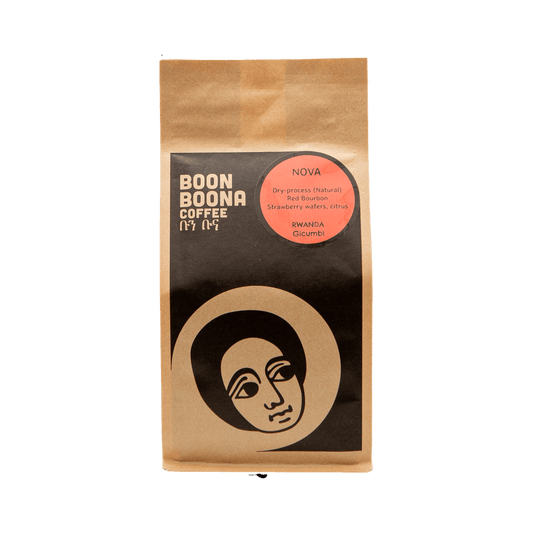 Nova 2 lb - Roasted Coffee for AeroPress and Drip Brewing
