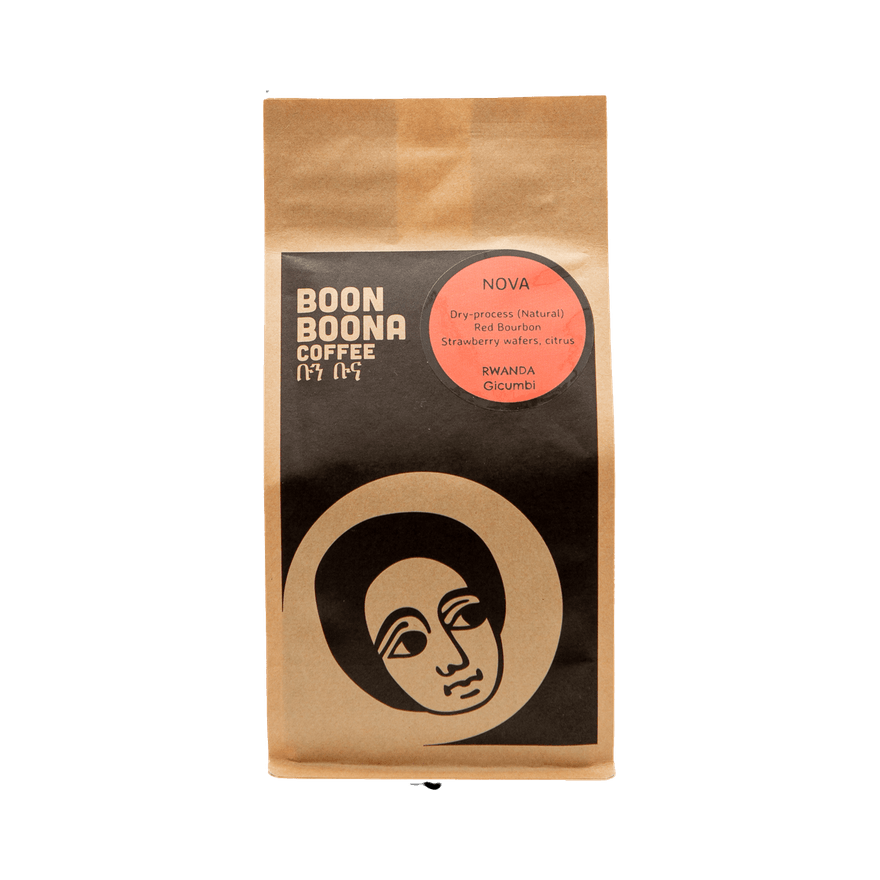 Nova 12 oz - Roasted Coffee for AeroPress and Drip Brewing