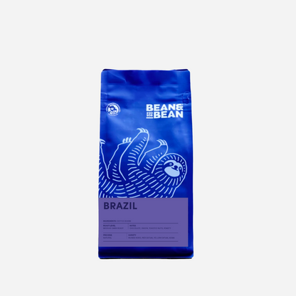 Rio Nights - Roasted Coffee for AeroPress and Drip Brewing