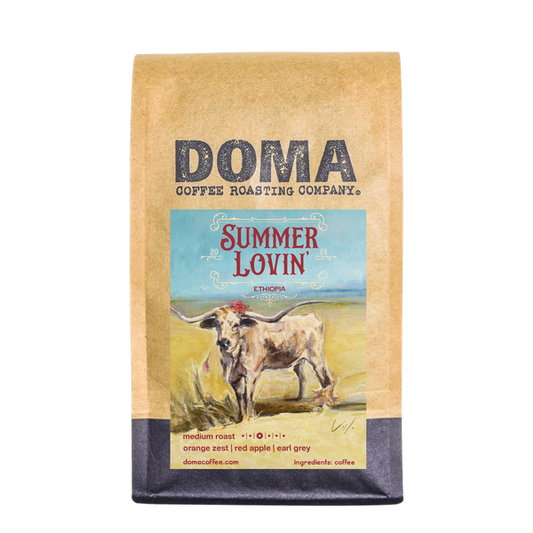 Summer Lovin 12 oz - Roasted Coffee for AeroPress and Drip Brewing