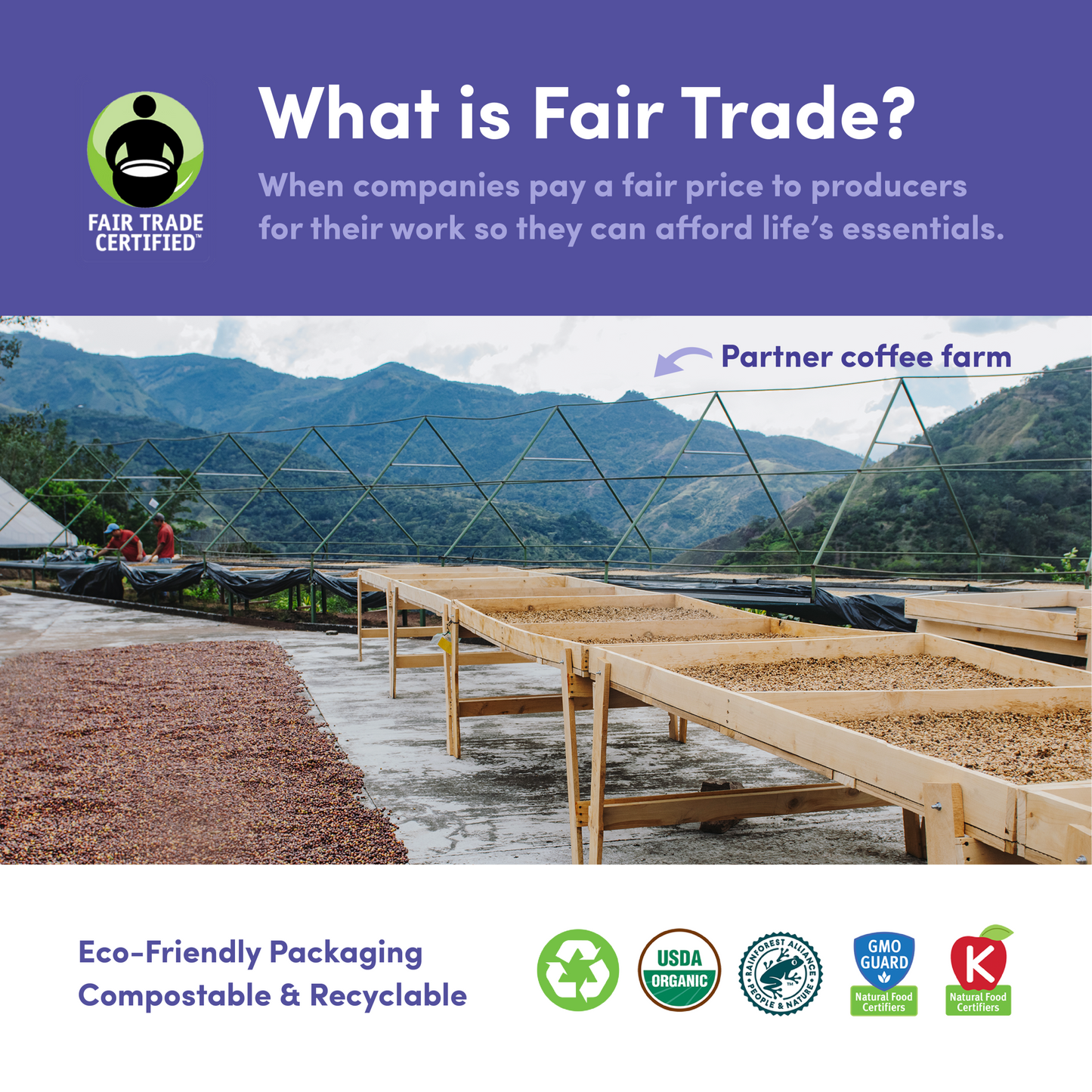 Downtown Blend Organic & Fair Trade - Roasted Coffee for AeroPress and Drip Brewing