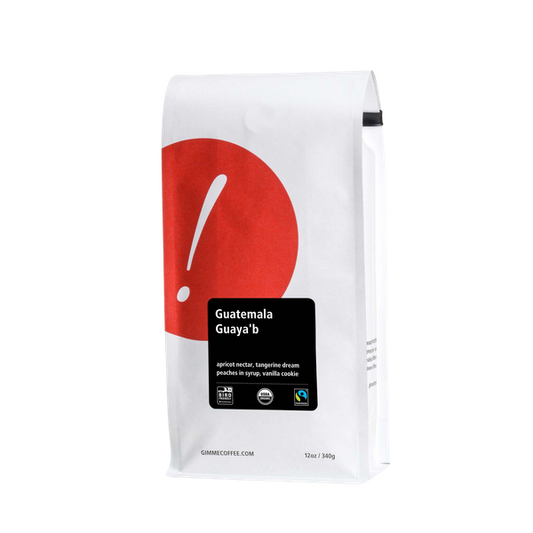 Guatemala Guayab 12 oz - Roasted Coffee for AeroPress and Drip Brewing
