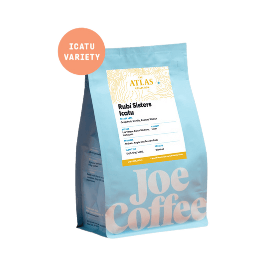 Rubi Sisters Icatu 12 oz - Roasted Coffee for AeroPress and Drip Brewing